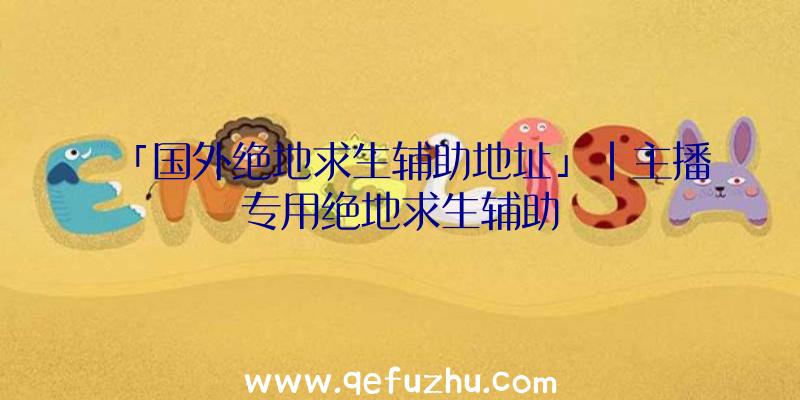 「国外绝地求生辅助地址」|主播专用绝地求生辅助